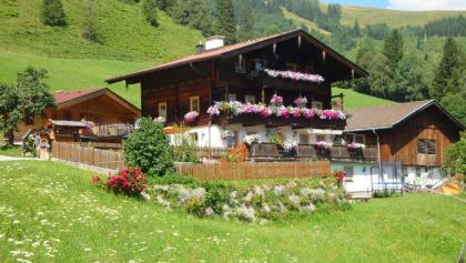 Suche nette Gäste !Schaut doch mal bei uns rein! Günstige Ferienwohnungen in Öst