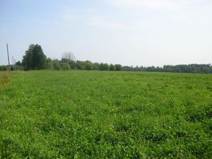 Ackerland in Lettland zu verkaufen