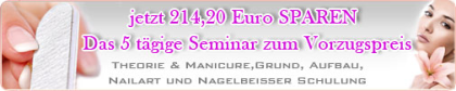 Professional Seminar