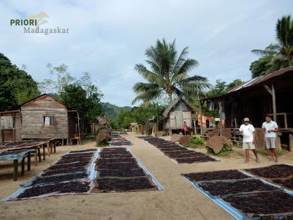 Madagaskar Reise SAVA, Vanille und Marojejy-Trekking2021