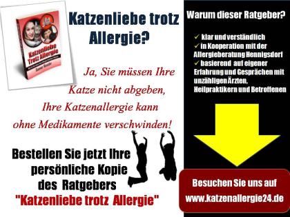 Wie Sie Ihre Katze trotz Katzenallergie behalten können... 