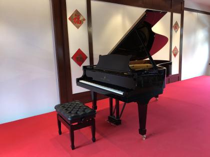 Saal mit Steinway-Flügel, Rotherbaum