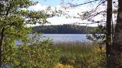 2 Ferienhäuser auf 4.100 qm großen Grundstück, Waldrandlage, Seeblick von beiden