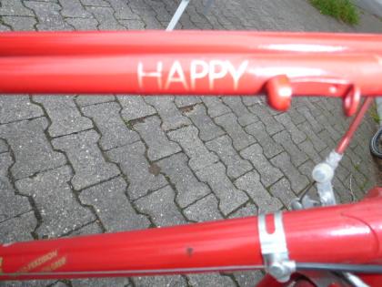 (152) 3 Gang Rücktrittsbremse 28 Zoll Rh 53 Greif made in Germany  