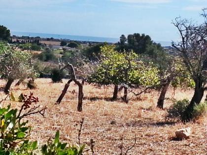 Baugrundstück in Son Carrio Mallorca mit Meerblick