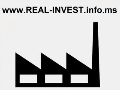 Top-Rendite mit realen Investments