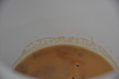 Mikrowürmchen (Essigälchen)