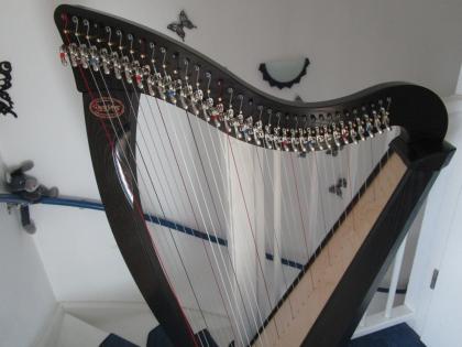 Harfe Dusty Strings Ravenna 34 kaum bespielt 1 Jahr alt