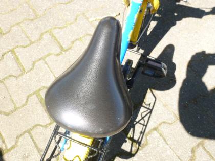 (193) 12 Zoll Rücktrittsbremse Rh 23 tiefer Einstieg MINI-BIKE