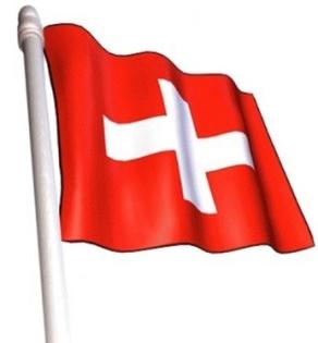Schweizer Geschäftssitz, Firmendomizil