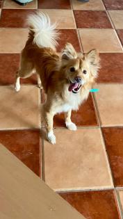 Cubo sucht ein neues zu Hause