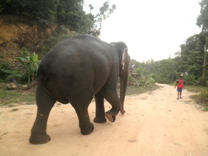 Thailand – Alternative für neue Existenz und Lebensform…