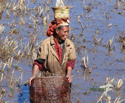 Madagaskar Frauenreise - Von und für Frauen2021