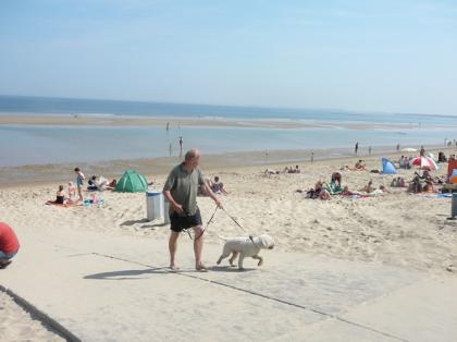 Ferienhaus Renesse Holland UrlauB mit Hund