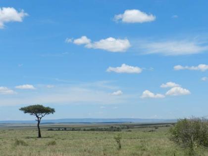 Die Fluege Kenia sind im Moment günstig, machen Sie eine Kenia Safari zum 8. Wel