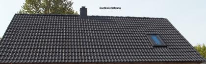 Dachreinigung/Dachbeschichtung/Fassadenreinigung-Beschichtung