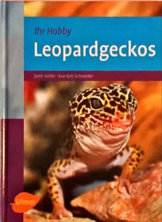 2 Leopardgeckos Damen mit Terrarium und Zubehör