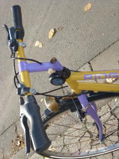 (49) 18 Gang 28 Zoll Rh 46 RIDGEBACK
