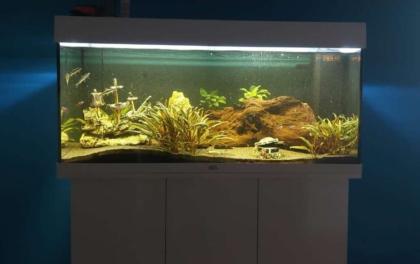 Aquarium zu verkaufen