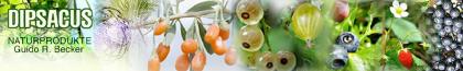 Naturprodukte online von DIPSACUS-NATURPRODUKTE.de