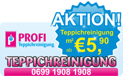 Profi Teppichreinigung mit gratis Abholung und Zustellung