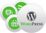 Webdesign vom Profi