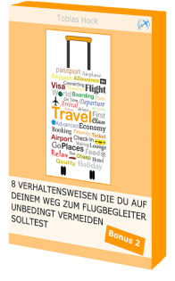 Stewardess werden