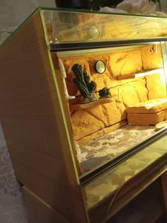 Terrarium,+zwei Leopardgeckos