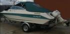 Motorboot Sea Ray 200 CC mit 1, 8 t Trailer