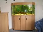  Aquarium / Eckaquarium Buchedekor komplett