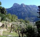 Finca auf Mallorca in Fornalutx zu vermieten