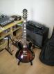 Verkaufe Epiphone Sheraton