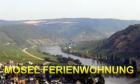 Mosel Ferienwohnung Riol