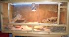 TERRARIUM 100x50x50 aus Holz