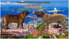 Fila Brasileiro