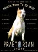 PRAETORIAN STAFF KENNEL -AmStaff Terrier puppies