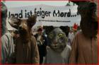 Die Not gejagter Tiere