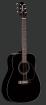 Gitarre Takamine g 241