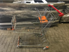 Einkaufswagen, Wanzl, D101RC, Shopping car, verschiedene Größen