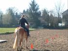 Qualifizierten Westernreitunterricht im Großraum Hannover