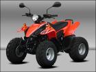 ATV Dolphin 50cc mit Zulassung-Ein superstarker Flitzer für die Stadt und leicht