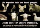 Esst kein Fleisch!  Warum?