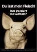 Esst kein Fleisch! -Warum?