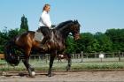 Reitkurs mit Meike Prischmann vom 13.-14.10-0.7978