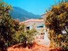 Casa Avocado bei Los Llanos auf La Palma