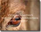 Ihre tierische Homepage inkl. ihres eigenen Logo- & Visitenkartendesigns