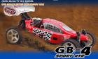 1/10 Verbrenner Nitro Buggy 100 km/h Neu/OVP-