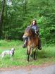 Wanderreiten in Eifel Hunsrück Westerwald