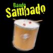 Samba show aus hamburg - bando sambado