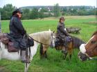 Pferdeboxen mit täglichem Weidegang in 57629 Wied im Westerwald frei